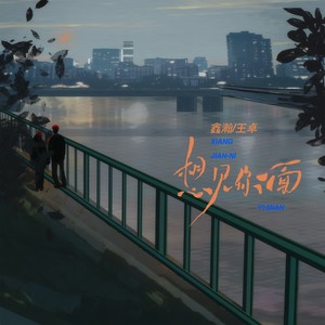 想见你一面