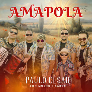 Amapola