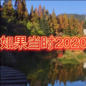 如果当时2020