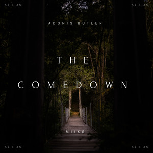 The Comedown (Explicit)