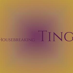 Housebreaking Ting