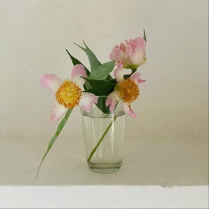 Bashonto Bohilo Sokhi (Spring Is in the Air) [feat. Prajna, Diya Bhattacharya, Abhijit Kundu & Nilesh Banerjee]