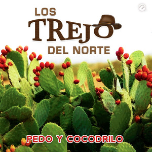 Pedo Y Cocodrilo