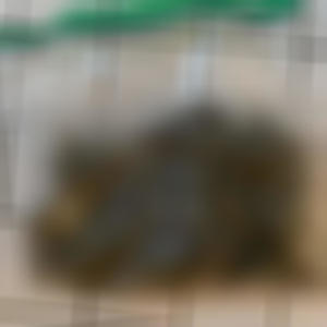 CMF (MAGNUM CYPHER) (feat. Big Zee & Jack W) (Explicit)