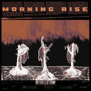 Morning Rise