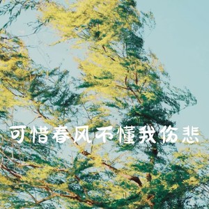 可惜春风不懂我伤悲-王小可