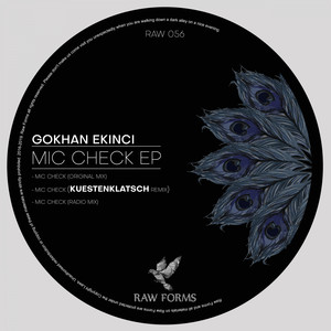 Mic Check (Kuestenklatsch Remix)