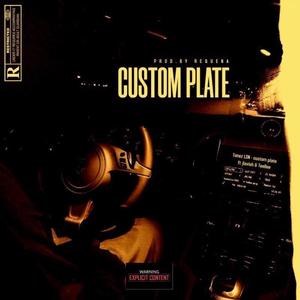 Custom Plate (Explicit)