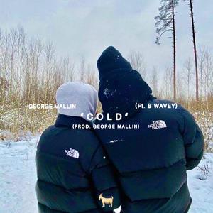 Cold (feat. B Wavey) (Explicit)