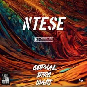 NTESE (feat. Walti & Irro) [Explicit]