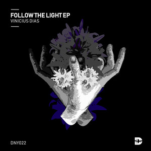 Follow The Light (Original Mix)