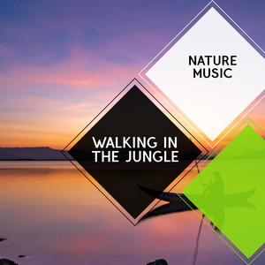 Walking in the Jungle - Nature Music