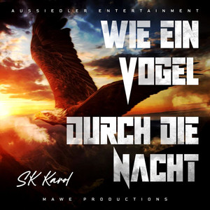 Wie ein Vogel durch die Nacht