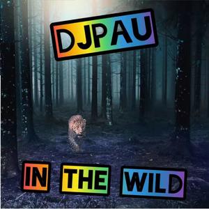 In The Wild (Extended Mix)