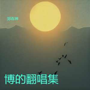 风雨无阻 (Live) - 郑春博封面