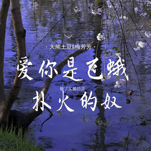 爱你是飞蛾扑火的奴(输了又输的苦)