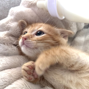 <3 my kat (Explicit)