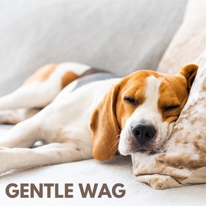 Gentle Wag
