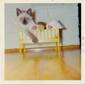 Swearing at Stars (Live)