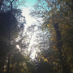 Don't Have You (Explicit)