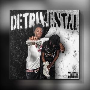 Detrimental (feat. BDG Racks) [Explicit]