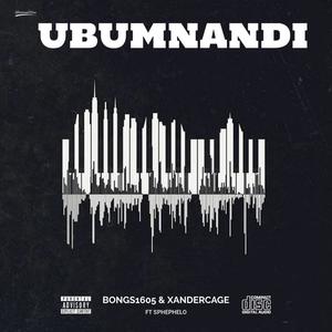 Ubumnandi (feat. Sphephelo & Mafashion)