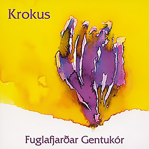 Krokus