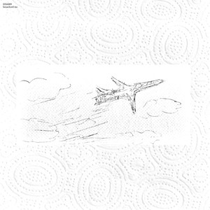 a flight well taken (JSX - taos)