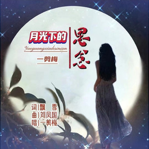 月光下的思念 (伴奏)