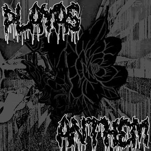 PLAYAS ANTHEM (Explicit)