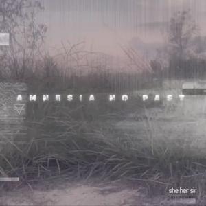 Amnesia No Past