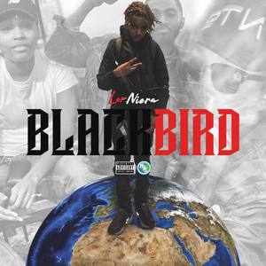 BlackBird (Explicit)