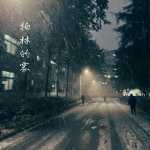 柏林的雾