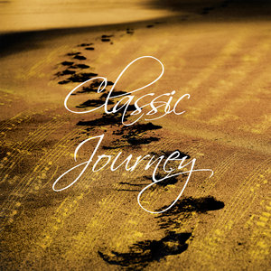 No. 6 in D Major, Allegretto quasi andante (Arr. for Piano)