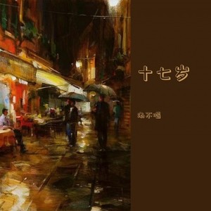 十七岁