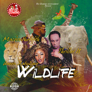 Wildlife (Explicit)