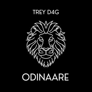 Odinaare