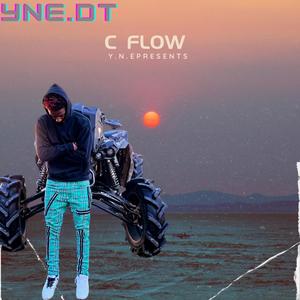 C Flow (Explicit)