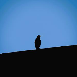 sStix n sStonez! (Explicit)