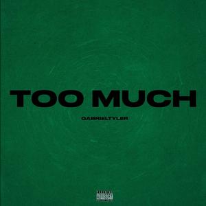 Too Much (Explicit)