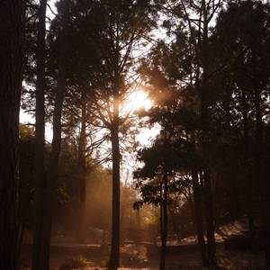 Love Hurts (Explicit)