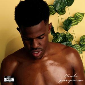 Shake The Room (feat. IMP THA DON, Joey2.0 & Kii-Bill) (Explicit)
