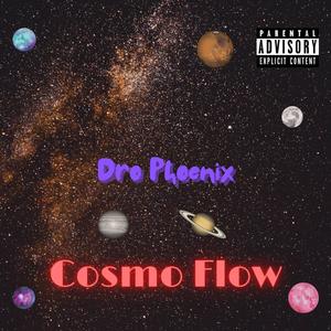 Cosmo Flow (Explicit)