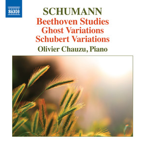 Schumann, R.: Variations on A Theme by Beethoven / Geistervariationen / Variations on A Theme by Schubert (Chauzu)