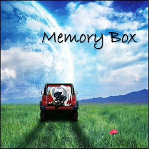 Memory Box