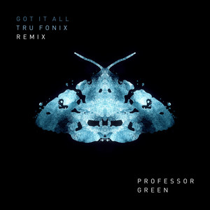 Got It All (Tru Fonix Remix)