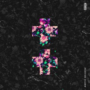 Johnny Billionz - T.M.Y.L.M.+ (feat. Dyna Edyne) (Explicit)