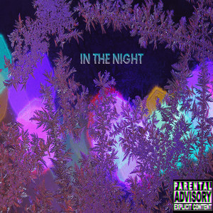 In the Night (Explicit)