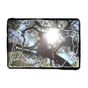 Oboi - Wind in her hair interlude (Explicit)