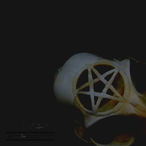 **** the Fame (Explicit)